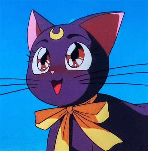 Luna from sailor moon
